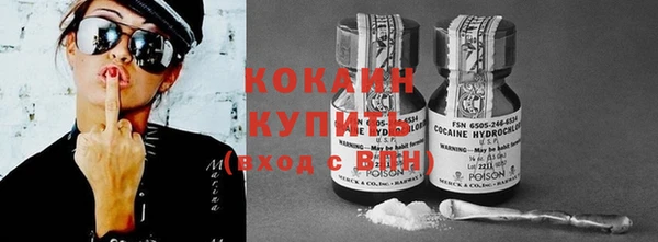гашик Коряжма