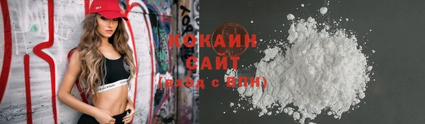гашик Коряжма