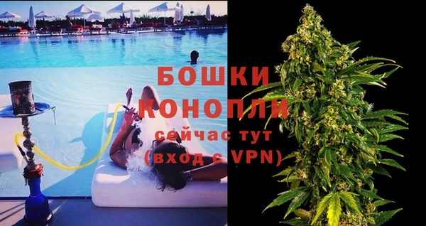 гашик Коряжма