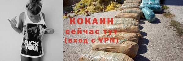 гашик Коряжма